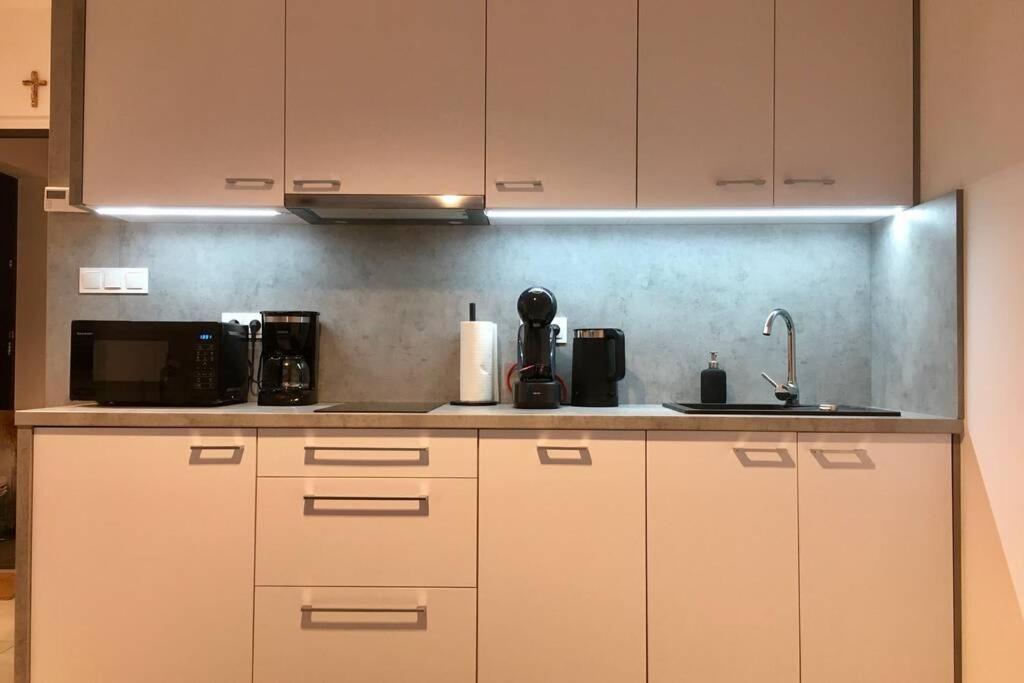 Apartament Fibra Brownie 리브니크 외부 사진